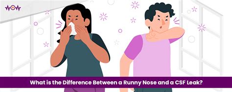 csf vs mucus|CSF Leak vs. Runny Nose